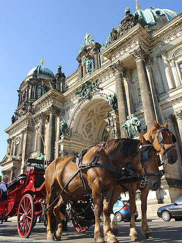 Pferdekutsche vor dem Berliner Dom - Berlin (Berlin)