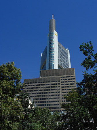 Fotos Commerzbanktower mit Baum