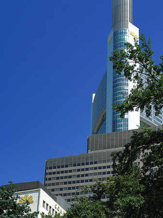 Fotos Commerzbanktower mit Baum