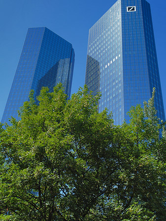 Foto Deutsche Bank mit Bäumen - Frankfurt am Main