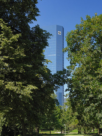 Fotos Deutsche Bank mit Wald | Frankfurt am Main