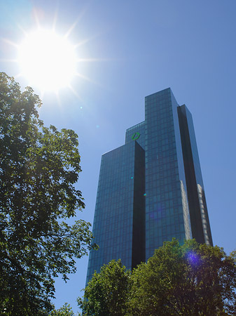 Sonne strahlt die Dresdner Bank an