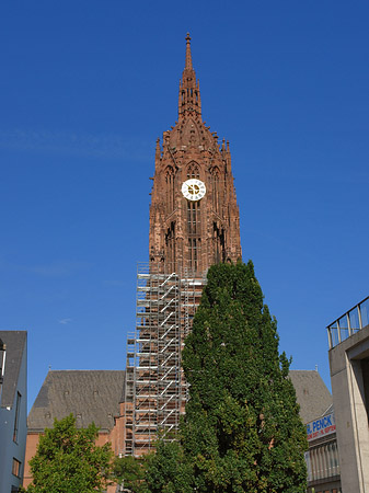 Fotos Kaiserdom St. Bartholomäus mit Baum