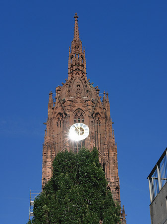 Kaiserdom St. Bartholomäus mit Baum