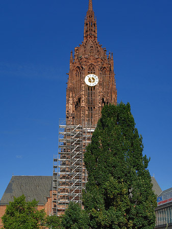 Kaiserdom St. Bartholomäus mit Baum Fotos