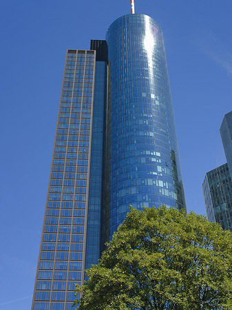 Foto Maintower