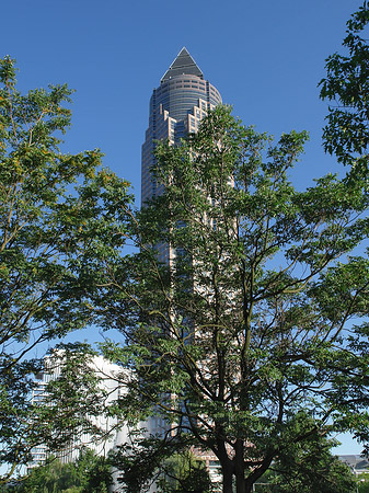 Messeturm versteckt hinter Bäumen