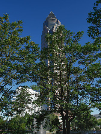 Fotos Messeturm versteckt hinter Bäumen