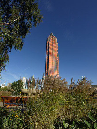 Foto Messeturm auf Wiese - Frankfurt am Main