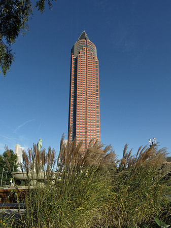 Foto Messeturm auf Wiese