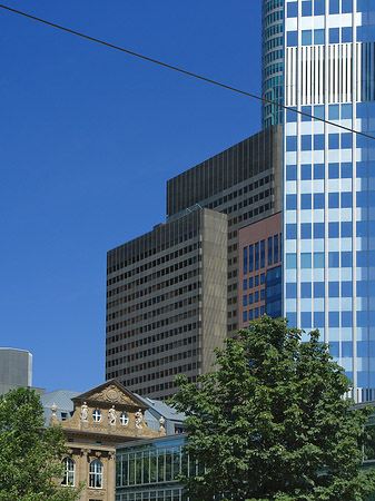 Pasquaysches Haus auf Zeil Foto 