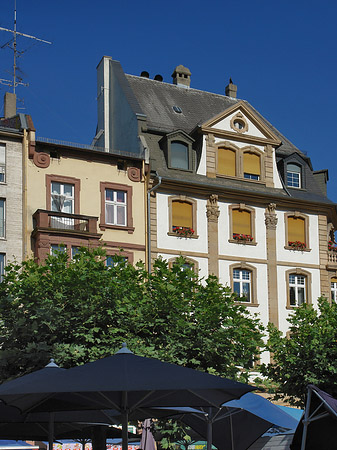 Fotos Paulsplatz | Frankfurt am Main