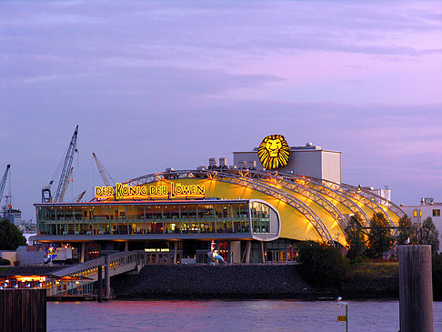 König der Löwen - Hamburg (Hamburg)