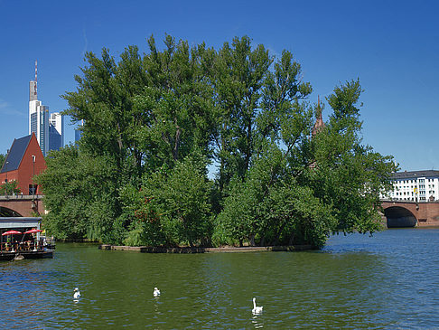 Fotos Neuer Portikus am Main | Frankfurt am Main