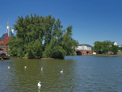 Foto Neuer Portikus am Main - Frankfurt am Main