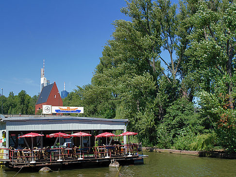 Neuer Portikus mit Bäumen - Hessen (Frankfurt am Main)