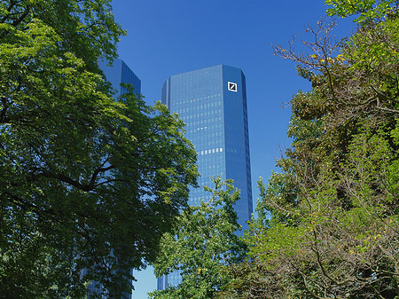 Foto Deutsche Bank mit Bäumen