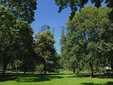 Deutsche Bank mit Wald Foto 