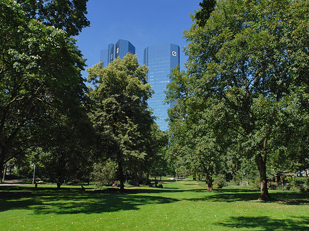 Fotos Deutsche Bank mit Wald | Frankfurt am Main