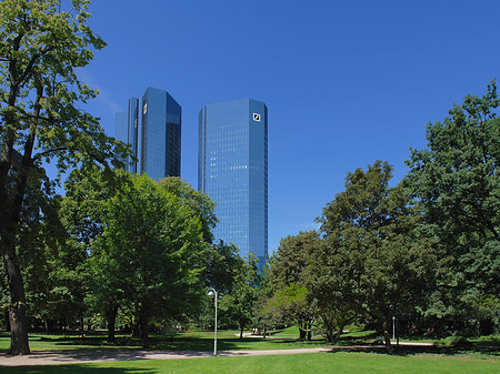 Fotos Deutsche Bank mit Wald | Frankfurt am Main