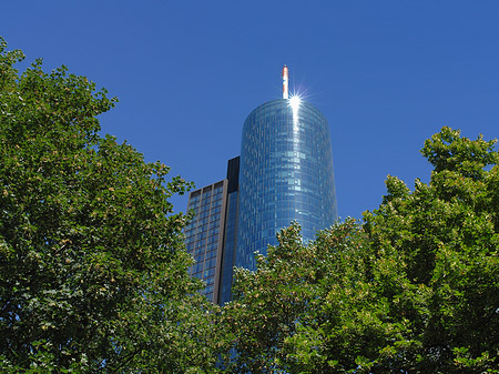 Fotos Maintower