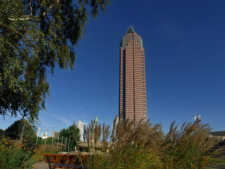 Fotos Messeturm auf Wiese