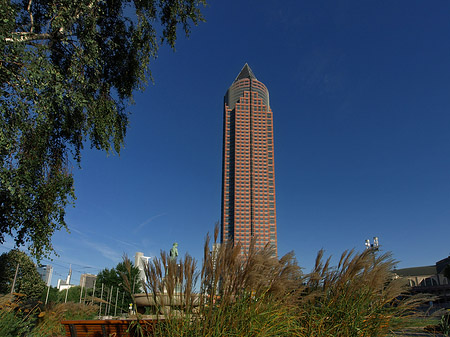 Foto Messeturm auf Wiese - Frankfurt am Main