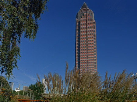 Foto Messeturm mit Wiese