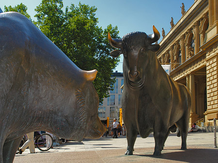 Fotos Bulle und Bär | Frankfurt am Main