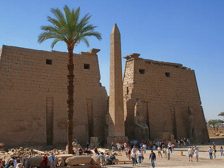 Obelisk - Landesinnere (Luxor)