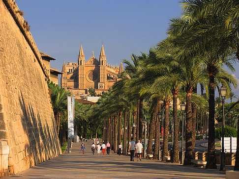 Fotos Fußgängerweg an der Stadtmauer | Palma de Maljorka