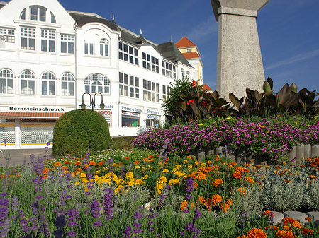 Rundell an der Seebrücke - Mecklenburg-Vorpommern (Ostseebad Binz)