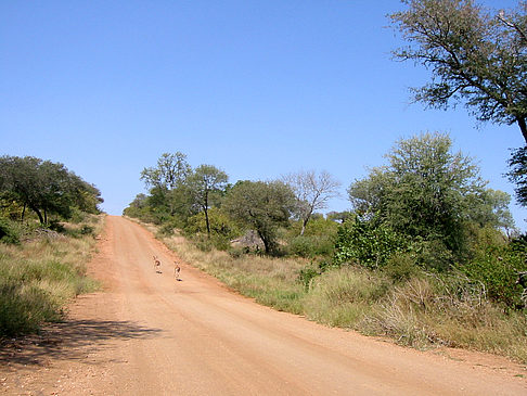 Straßen - Mpumalanga