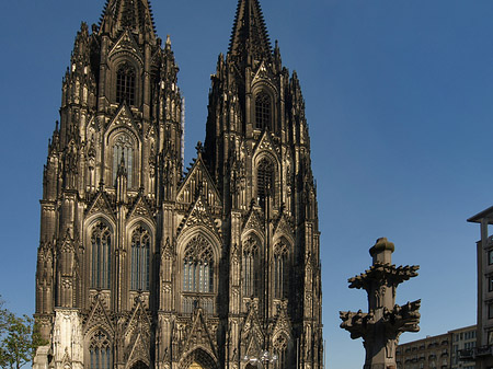 Kreuzblume vor Kölner Dom - Nordrhein-Westfalen (Köln)