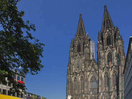 gelbe Sonnenschirme vor Kölner Dom - Nordrhein-Westfalen (Köln)