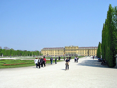 Foto Schlossgarten des Schloss Schönbrunn - Wien