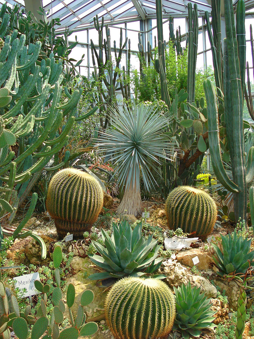 Foto Palmengarten