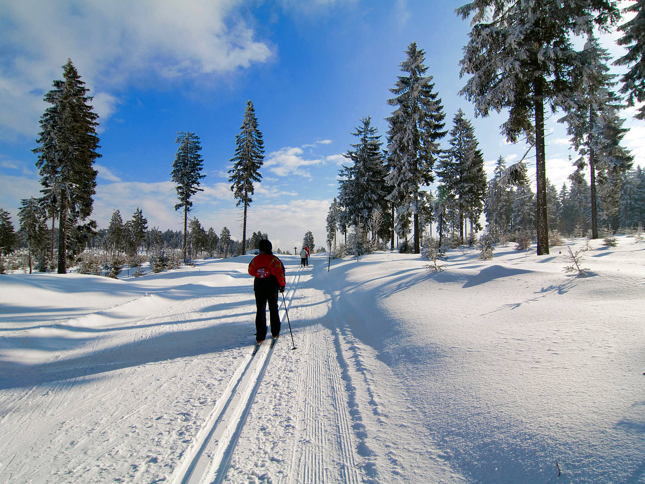 Foto Großer Feldberg